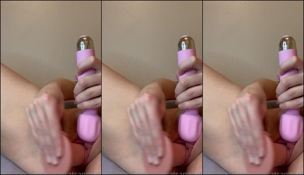 Catsanddabs 2023 01 17 0Ha6Otm8Pmd25Dkhat4W8 Source