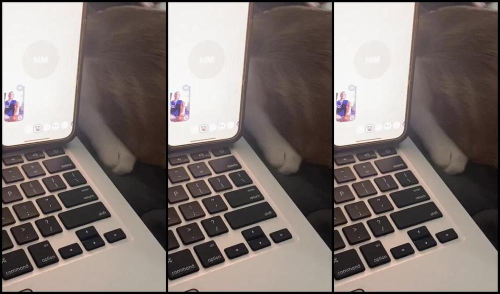 Footprincessx1 Nicknamed Footprincessx1 Onlyfans 1 1Calls Available