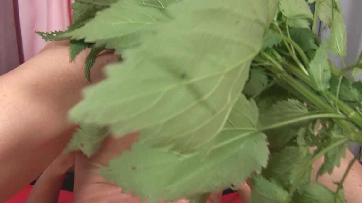 "Mix" Upside Down Part 1_2 SiteRip