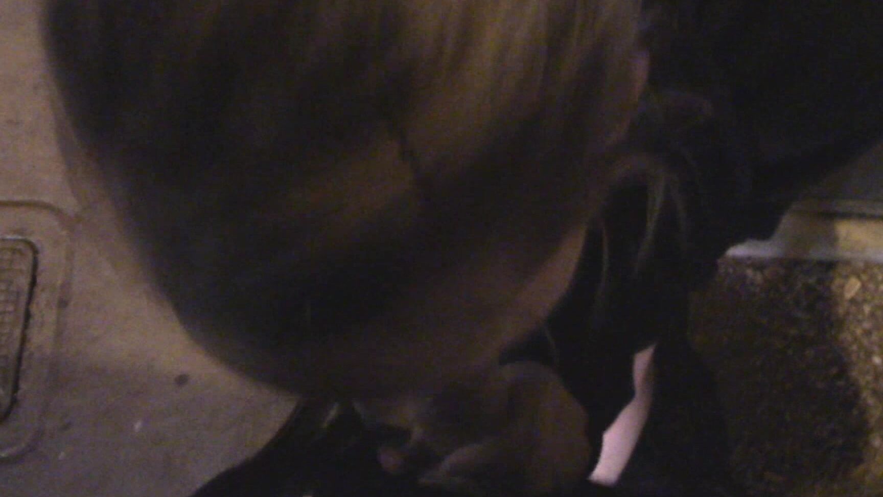 Blow Jobs, Big Dicks, Cum In Mouth, Outdoors, Outdoor Public Blowjobs mya lane fun on the street ManyVids