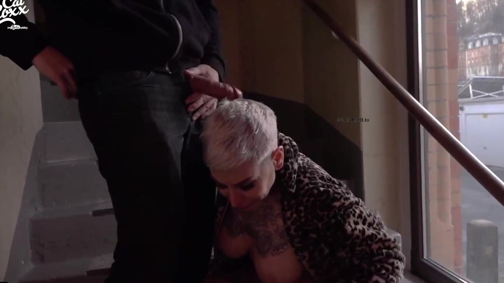 Cat Coxx 20.03.28  Schlüssel vergessen mieser Nachbar benutzt mich in Hausflur,vom Hausmeisetr erwischt MyDirtyHobby