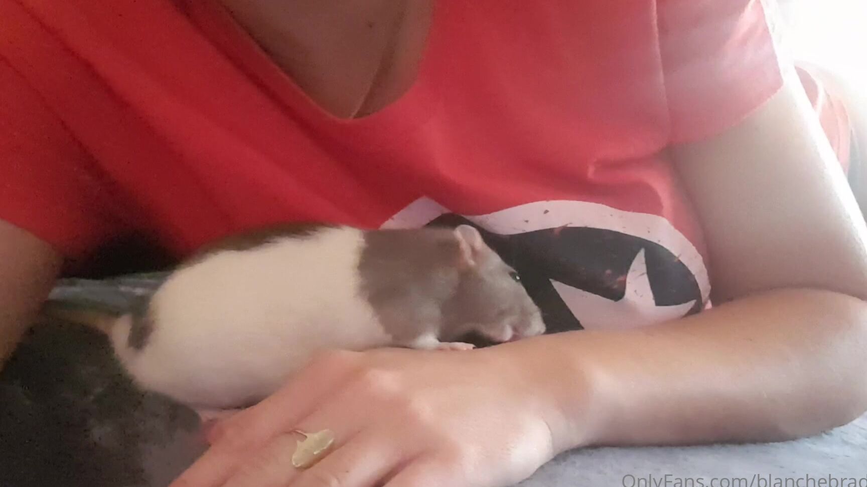 Blanche Bradburry Onlyfans 20 06 18 28721112 Funny Vids With My Pets Somethink From My Life 19201080 Video