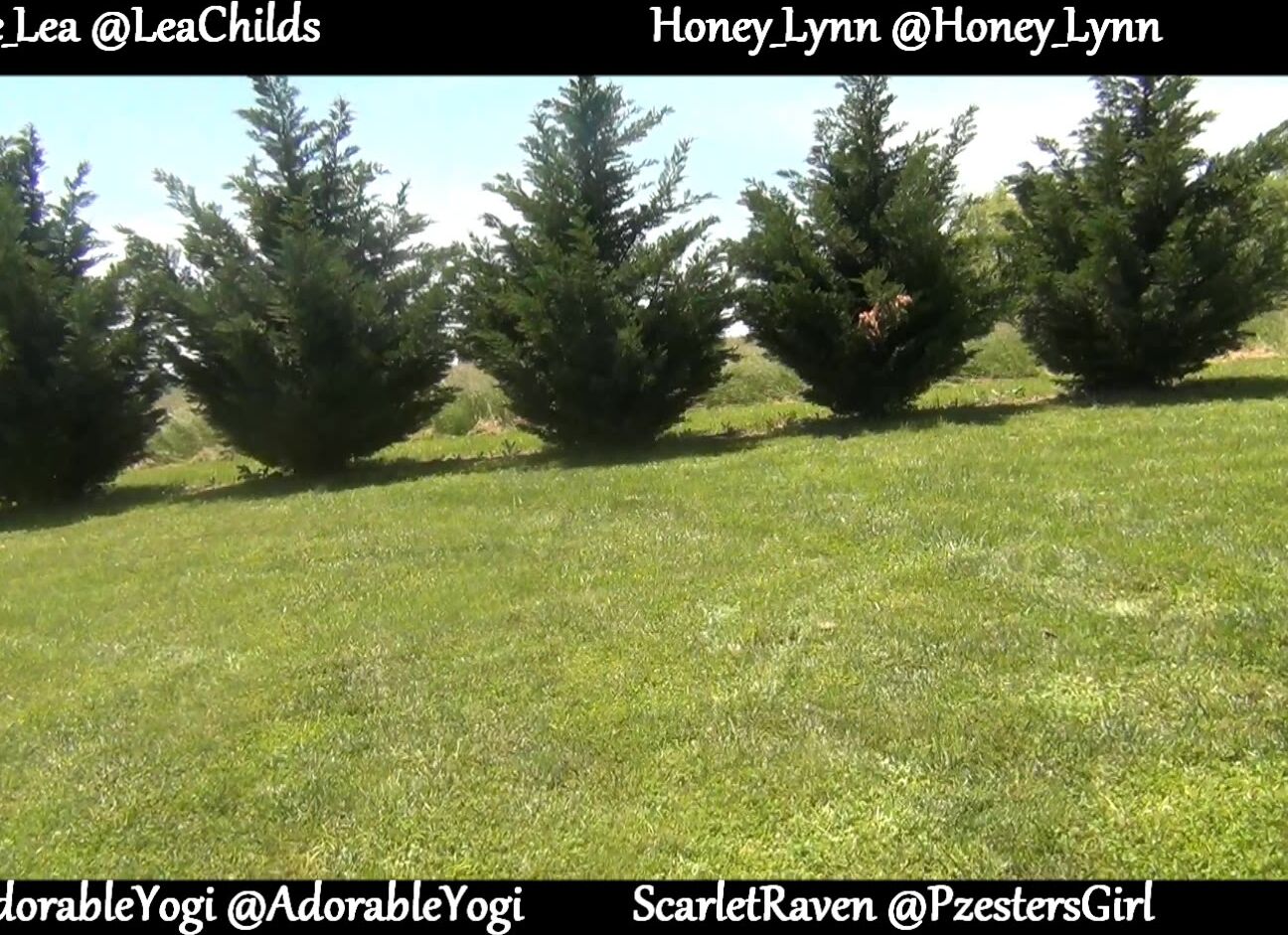 Le Lea Bachelorette Weekend Naked Mowing Rider