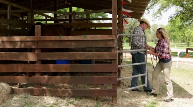 Alana Cruise Unbridled 2017