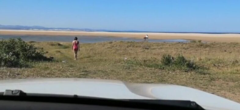 Daring Desire DARE TO BARE Pornhub