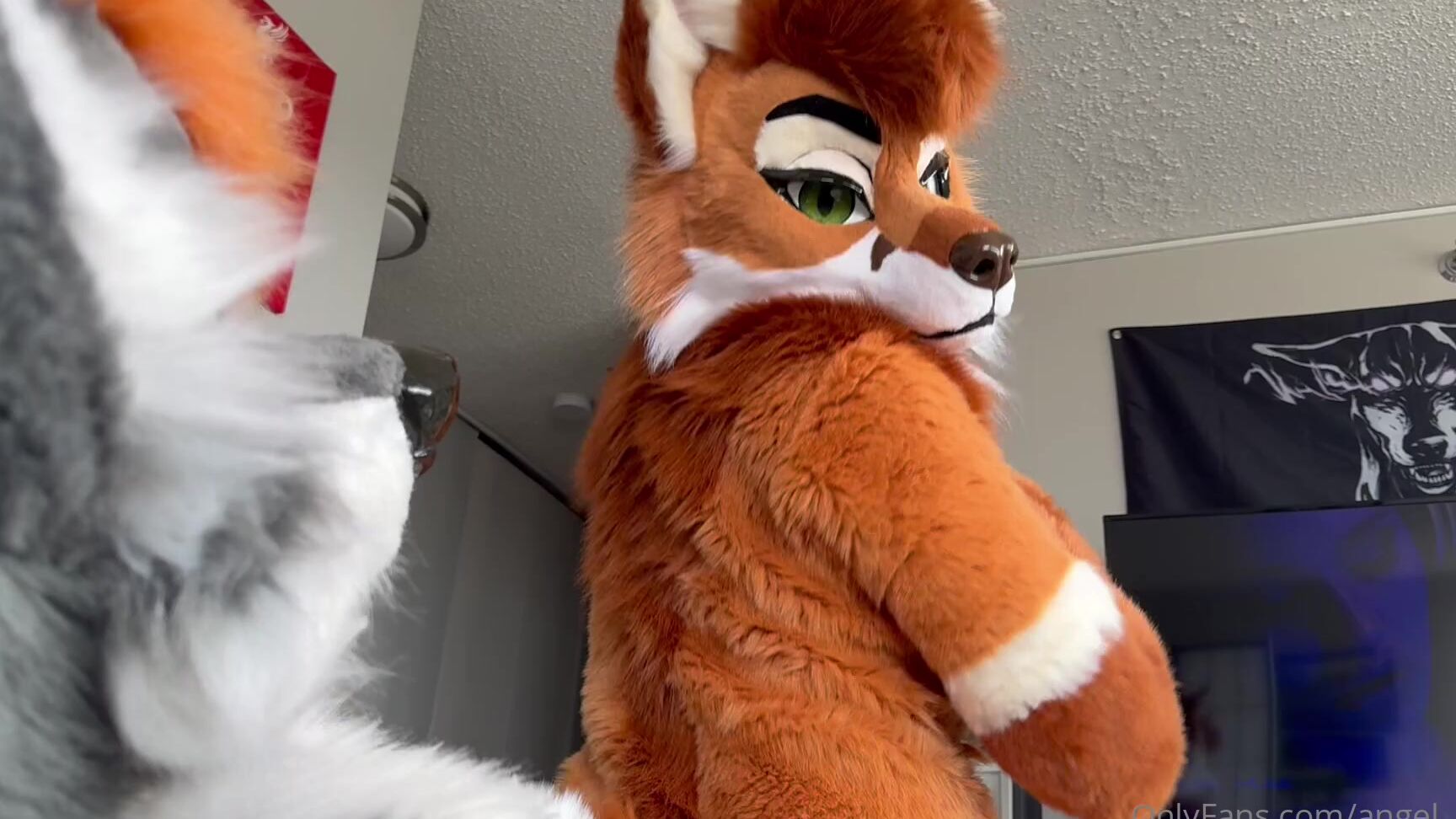 Angel Pups 1103268291 Little Preview Of What S In Store For Later This Week 01 0Hqe1G1D2Qeg1I51Sli13 Source