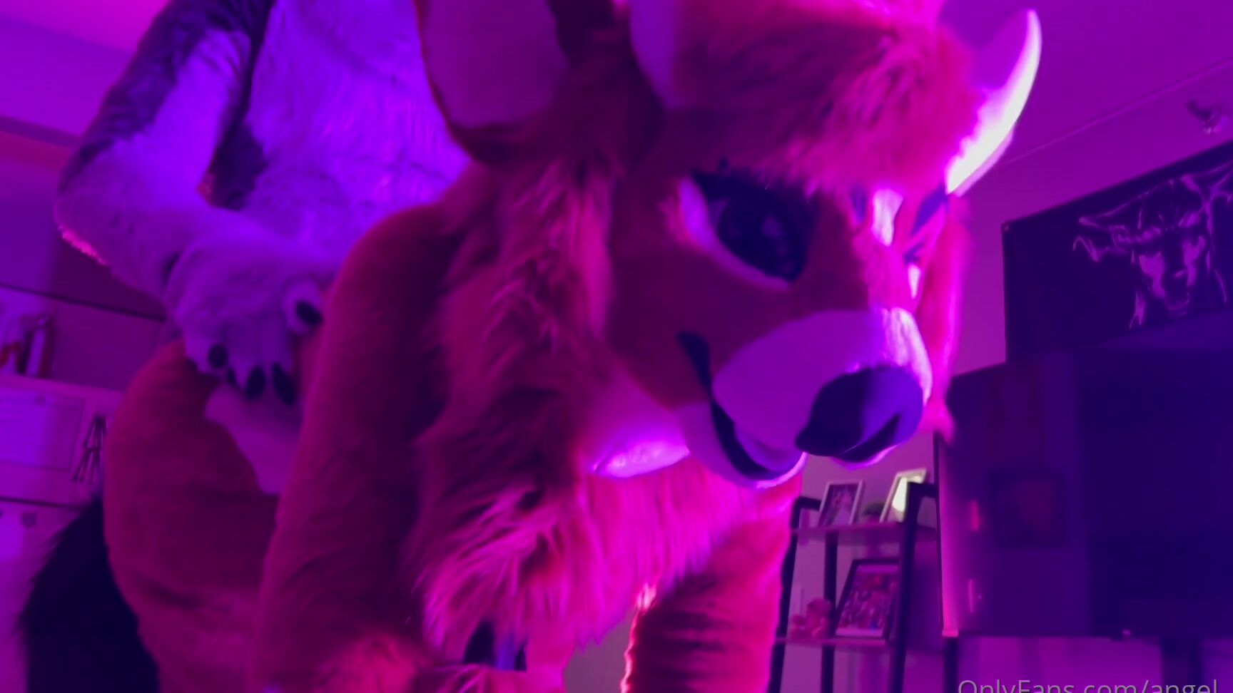 Angel Pups 511458063 Jessie And Storm Getting Hot And Heavy After A Night Out 01 Fa958A4F Fbd6 4416 A6Fa 2D2A361B5Fa3