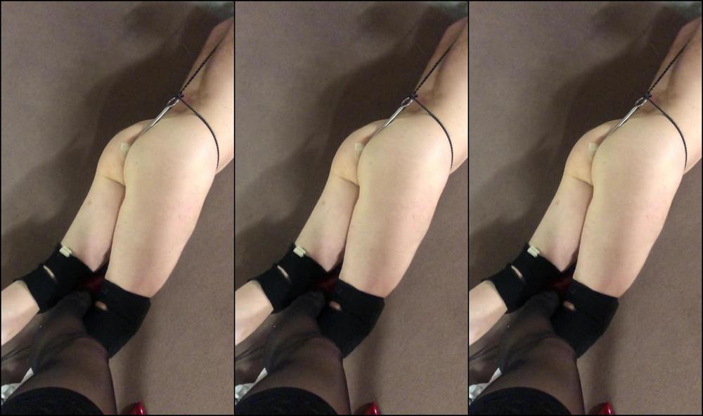 Mistress Gaia Triscia Per Me Verme Humiliation