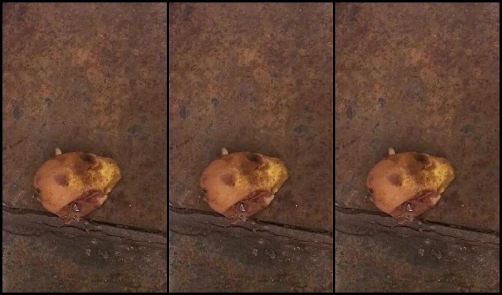 Mistress Athena Nicknamed Mistressathena Onlyfans It S Time To Eat So Eat