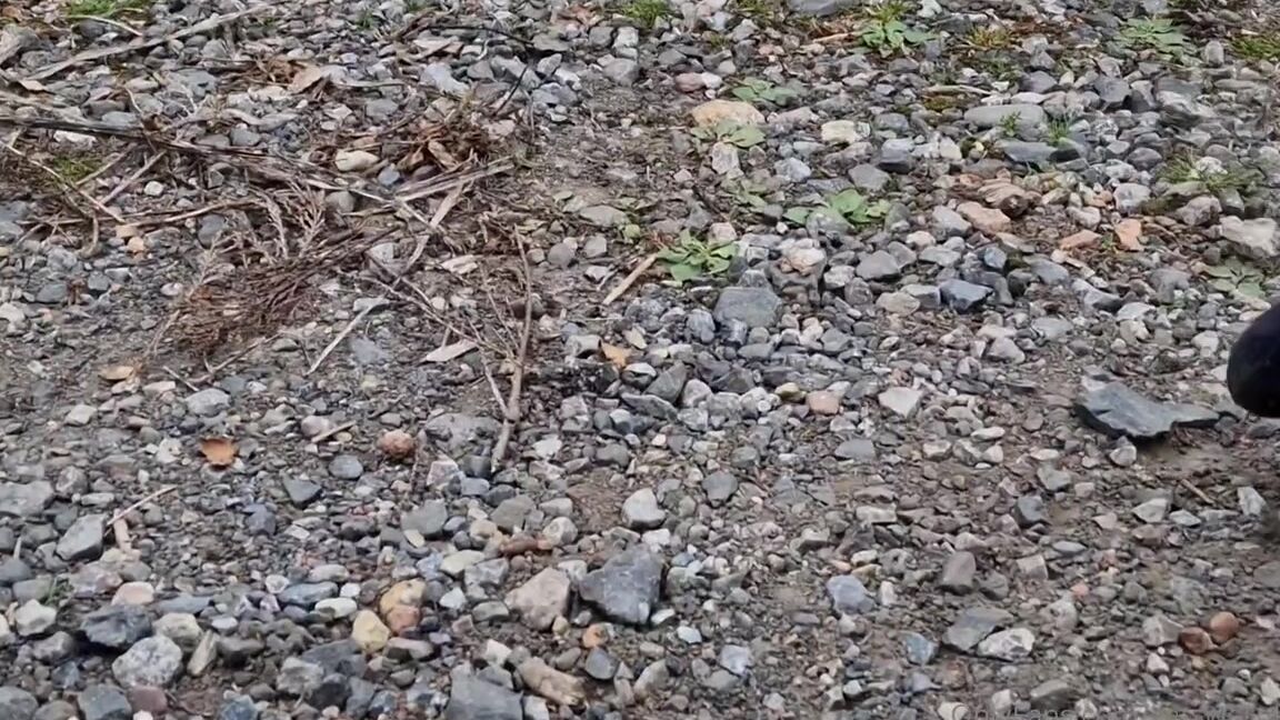 Kats Worn Heels Nicknamed Katswornheels Onlyfans Lets Try Some Twisting And See What Effect That Has Before Wiping My Feet All Over