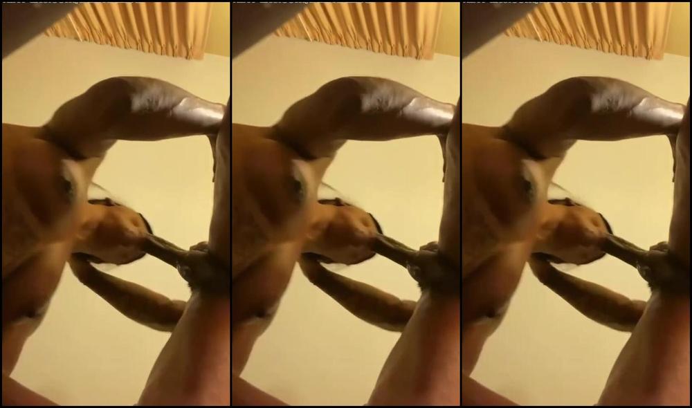 "Denzel and Prissy" Bbc, Gagging, Drooling, Dick Sucking, Suggest Denzel and Prissy D E E P pornhub