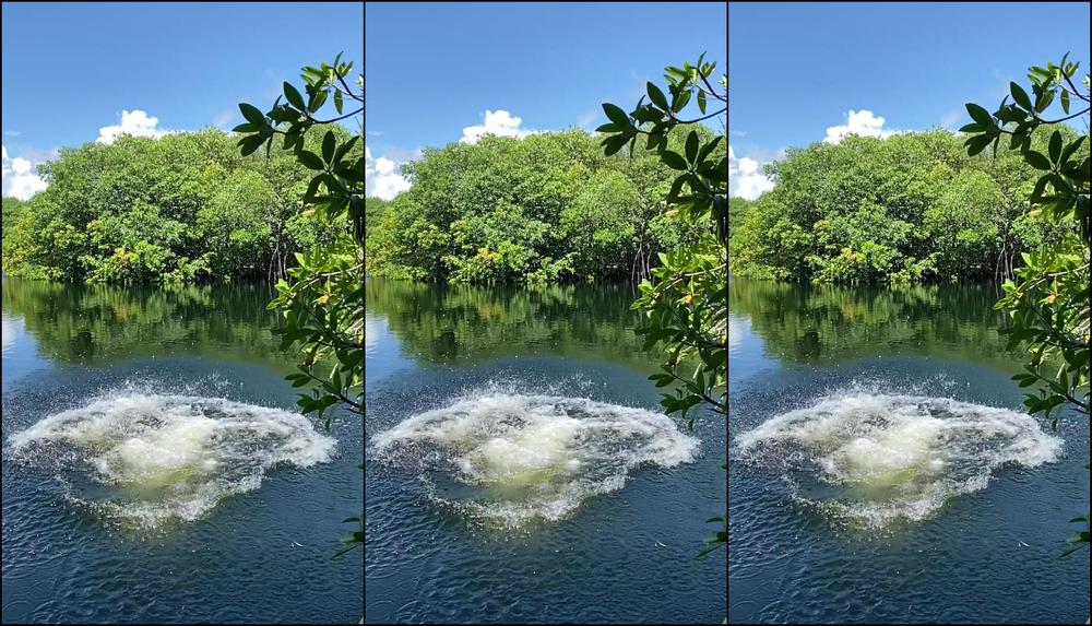 Monawalesxxx 915633154 09 18 2020 I Had Fun Today