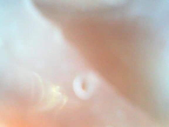 Cutielanalova Going Deep Down In My Pussy