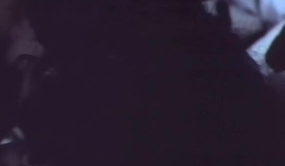 "Raven, Taija Rae, Gloria Leonard, Kelly Nichols, Carol Cross, Sharon Kane, Jean Silver, Sarah Bernard, Jani George, Missy Tiger" Classic XXX Taboo American Style SiteRip