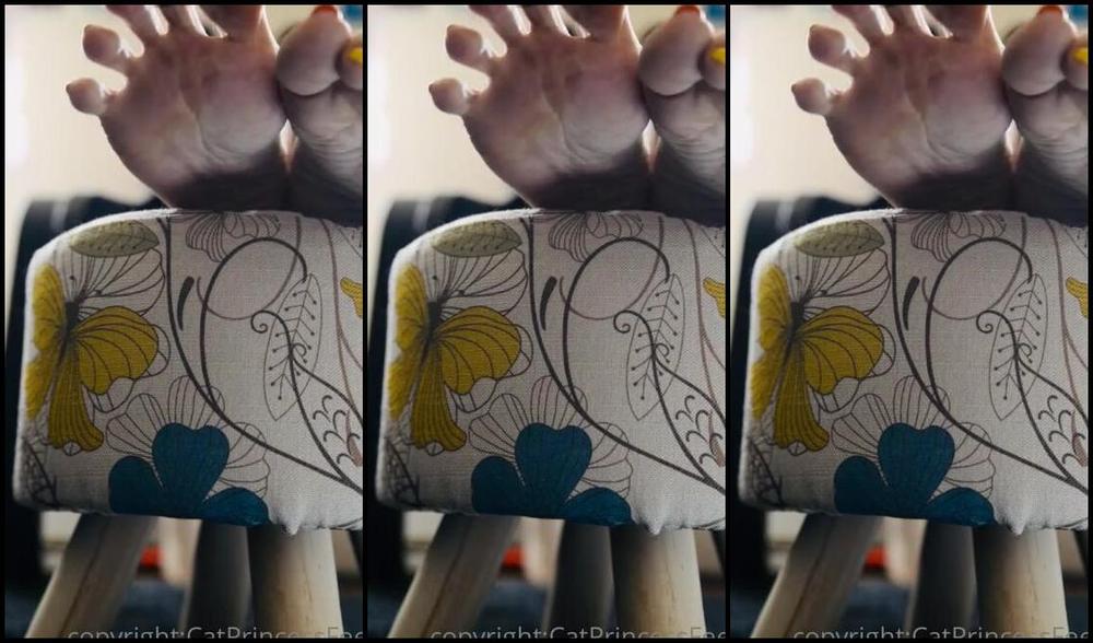 Catprincessfeet Onlyfans Dont U Wish U Deserved A Better View 1