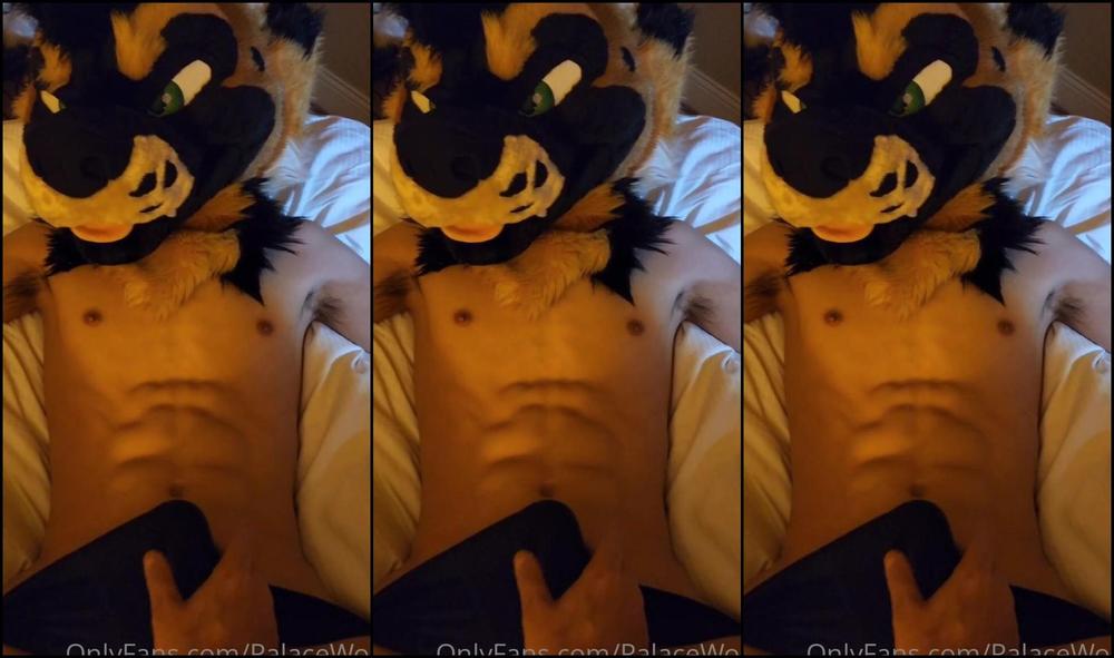 Palacewolf 463279163 Getting Some Nice Rubs At Mff 01 8294Bd00 A1Af 4686 B6Cc 417F545D65C9