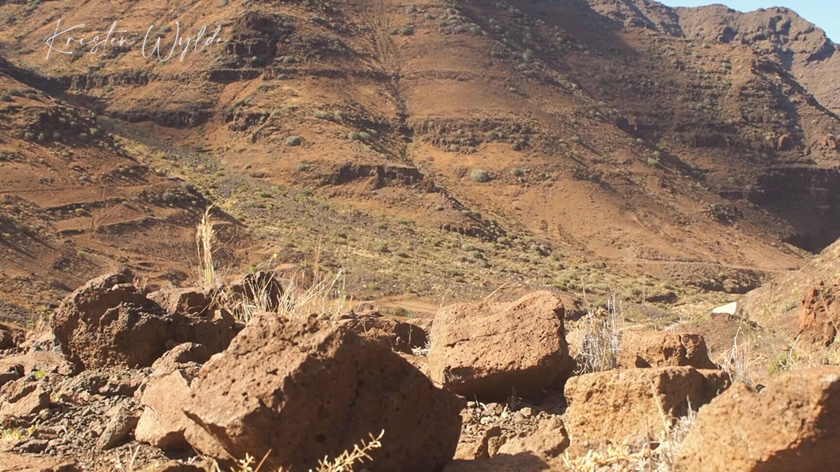 "kristenwylde" outdoors, pee, publicflashing, publicnudity, publicoutdoor Peeing in public copilation 2 manyvids