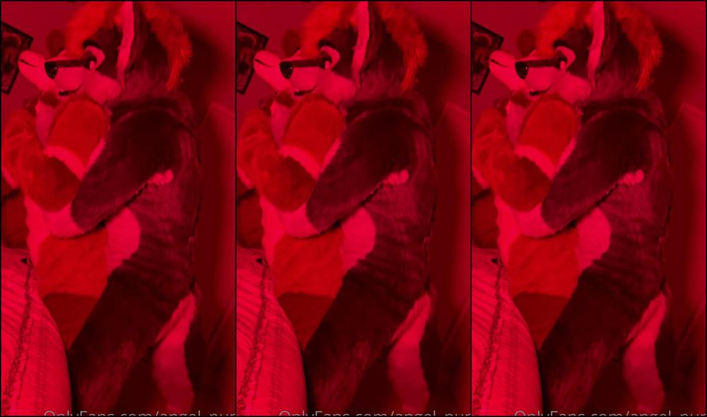 Angel Pups 280750500 Slide In And Make Me Yours 01 3704C457 9827 45Eb 8303 B2922A8C1Ce7