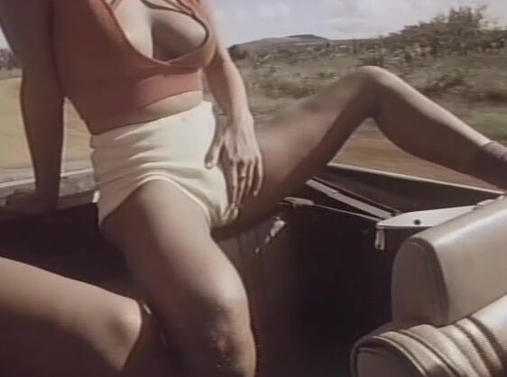 "Ginger Lynn, Diva, Jamie Gillis, Jerry Butler, Bunny Bleu, Stacey Donovan, Jody Swafford, Rene Tiffany, Lois Ayres, Crystal Holland, Ron Jeremy" Lesbian, Classic, Group Sex A Little Bit of Hanky Panky Cinetrex