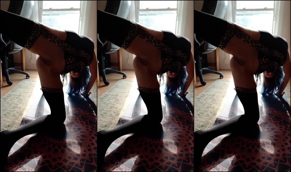 Hippiefeet Another Campaign Tipped Out I Hope You Enjoy In My New House I Will Have Much Much More