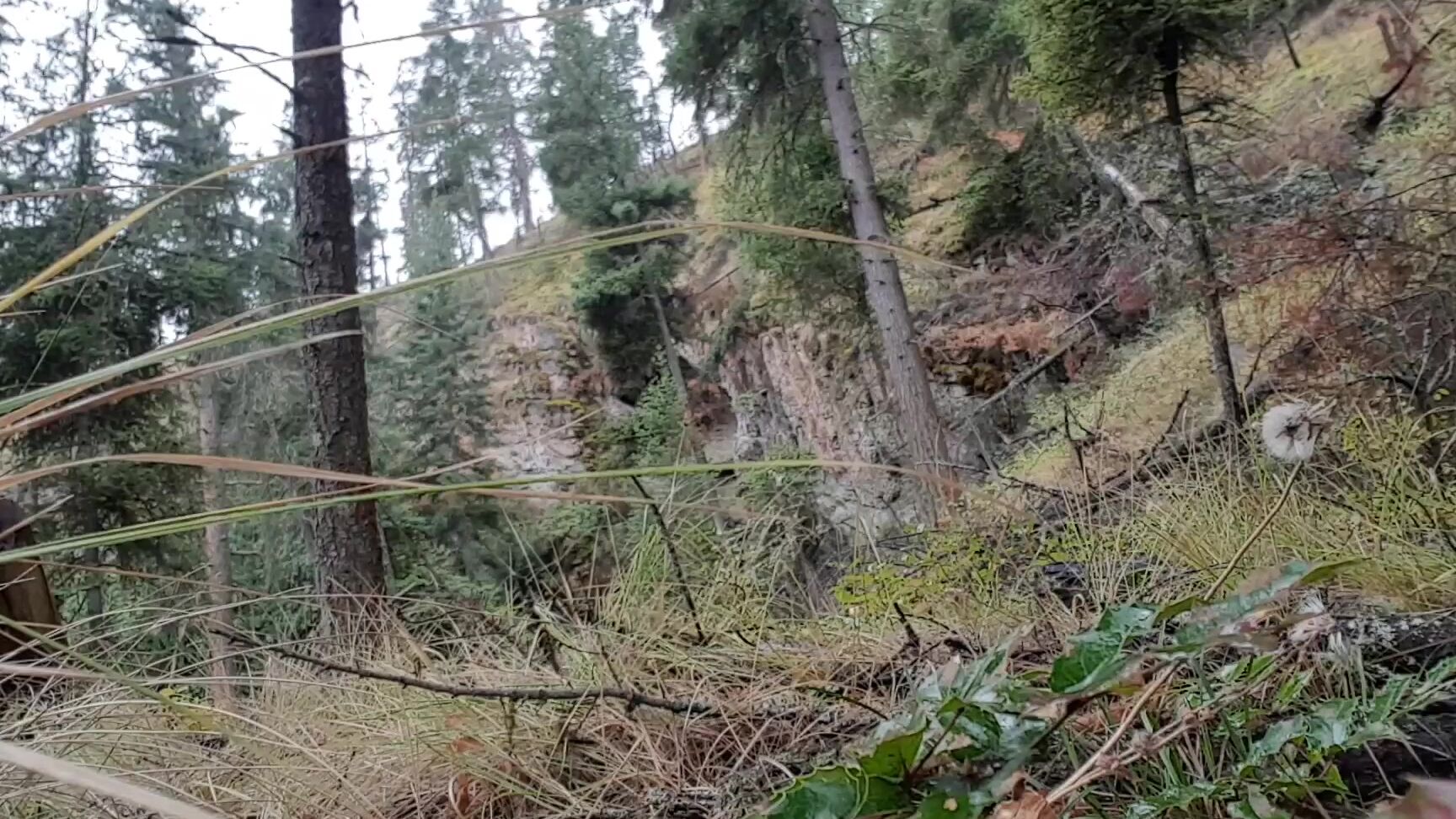 Asshole Fetish,Exhibitionism,Outdoors,Pee,Public Outdoor hazel simone outdoor hiking p-- ManyVids