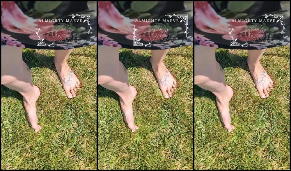 Almighty Maeve Nicknamed Almightymaeve 06 14 2024 Onlyfans Video Walking The Pups And Strutting My Stuff 784S