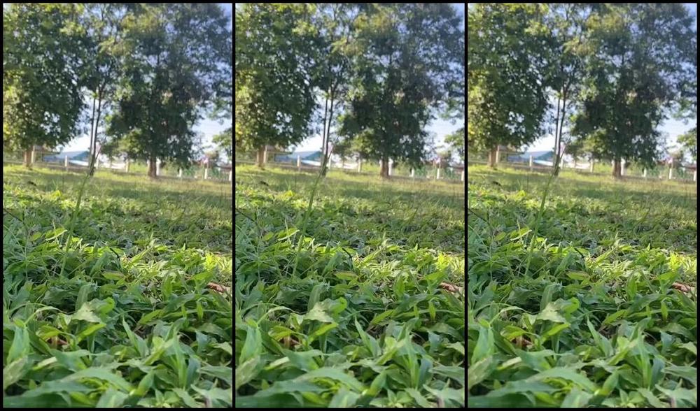 Goddessnutty2 Onlyfans Good Morning Sunday 5