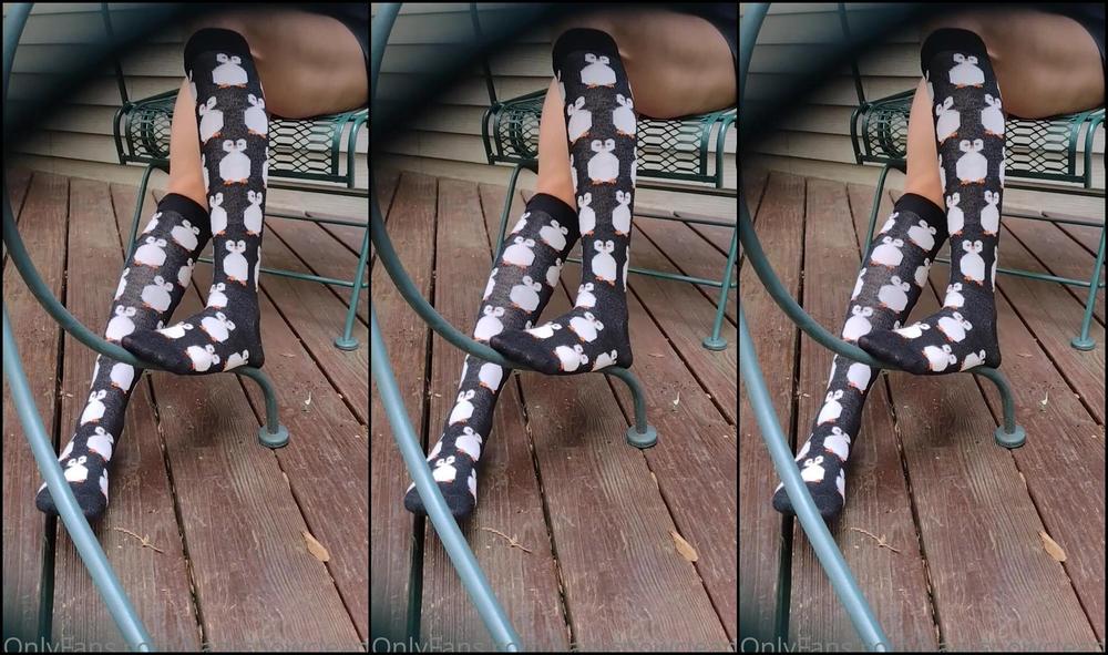 Kasysnowpremium Are You Peeking At My Legs In These Cute Knee High Penguin Socks