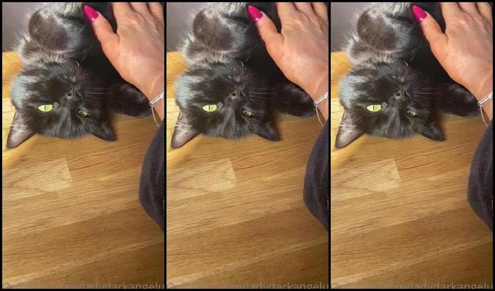 Ladydarkangeluk Onlyfans Good Morning Came Down To My Cat On My Kitchen Side Sunbathing In The Sun Coming Through The Window