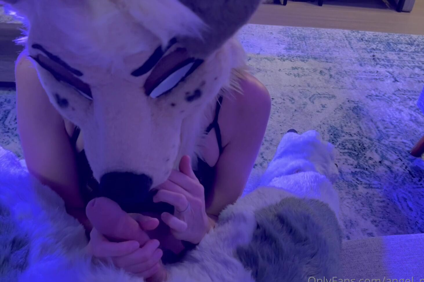 Angel Pups 452683441 Angel Being A Good Service Puppy 01 D41Cd61C Ded9 49C1 A67F 018D15456B0A