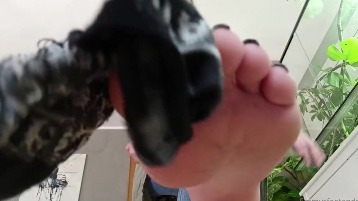 Emmysfeetandsocks Aka Emmyfeetandsocks Onlyfans Another Video For You Guysp