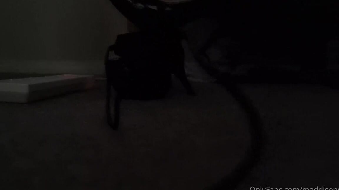 Maddison Spoilt Nicknamed Maddisonspoilt Onlyfans Working Hard At My Desk What A View