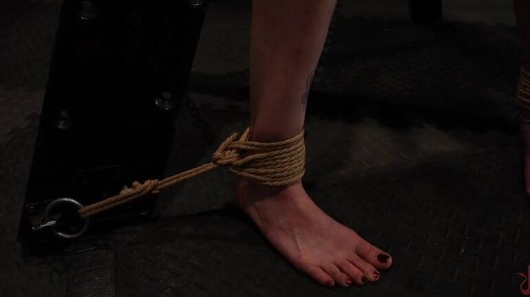 Electrical Play, Hardcore, Facial, Dildo, BDSM, Blowjob, Vibrator, Cumshot, Bondage, Zapper, Anal, Pierced Nipples, Deepthroat, Flogging Vile Vixen - Masked Psycho Fuck Yinnie DeDom And Vile Vixen Kink.com