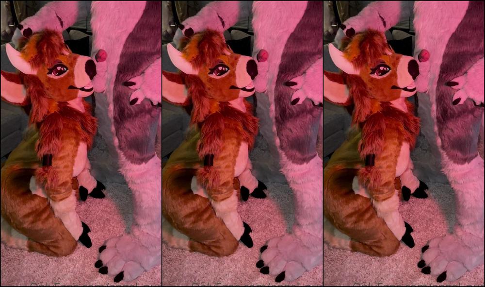 Angel Pups 281975090 Jessie Being A Good Girl 01 Ce7D3D8F 2858 42A4 B32C 5322654E5E21