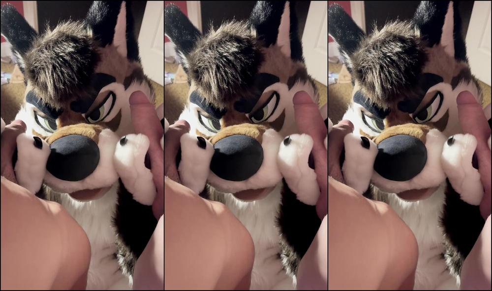 Palacewolf 810593826 01 6E1384E2 8B0E 478E Af7E C6824Fcc5C5B