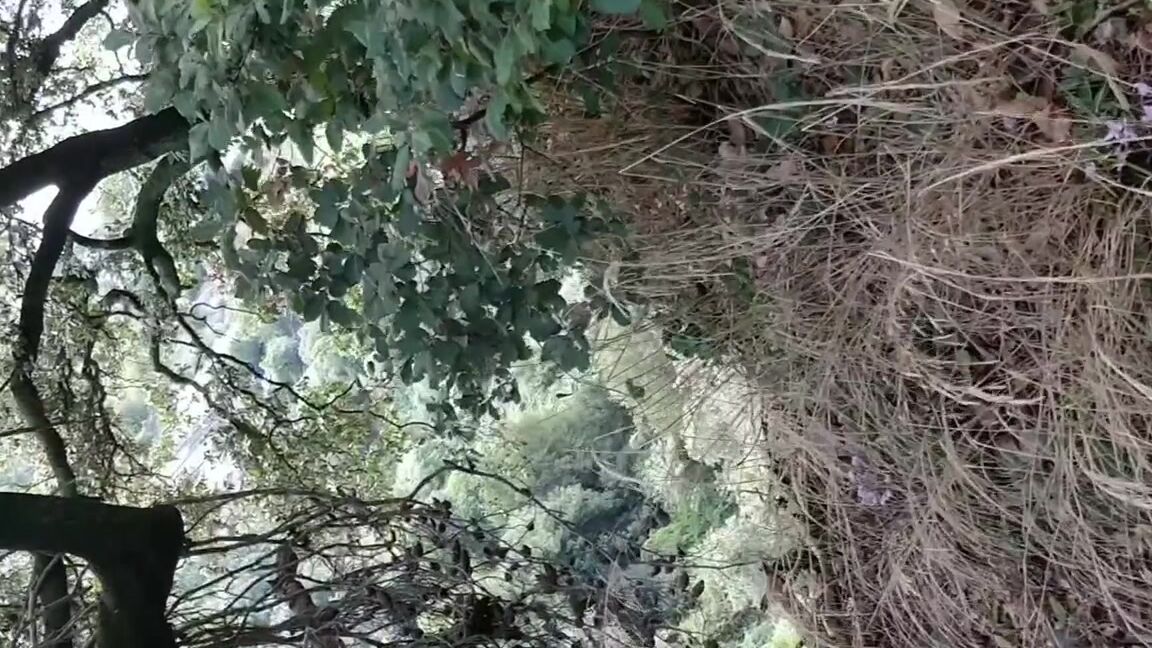 Frejas Submissive Feet Nicknamed Frejassubmissivefeet Onlyfans Come With Me On A Little Adventurous Nature Path This My Last Morning In The Village