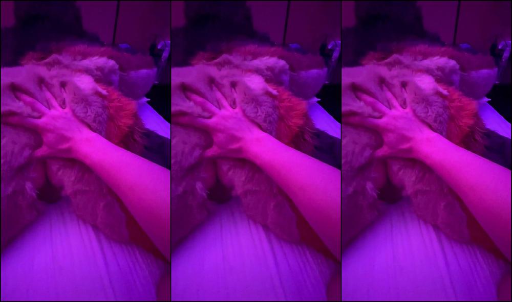 Palacewolf 482378877 Look At This Vulnerable Shep Ready To Be Railed And Bred 01 5Df6Cc1C A92A 4C19 Afa9 E7B47F35422D