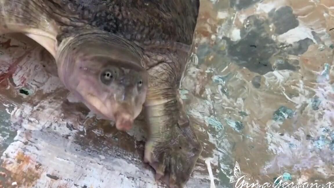 Gina Gerson Adventure Trip