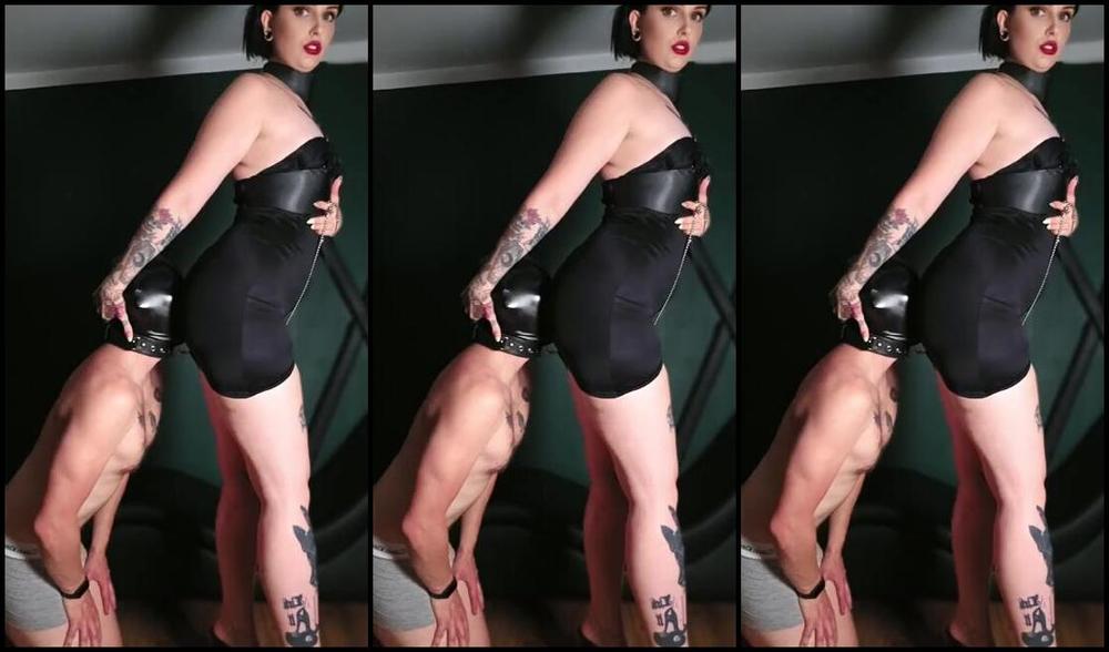 Mistress Nikole Nicknamed Mistress Nikole 07 30 2025 Onlyfans Video Facesitting