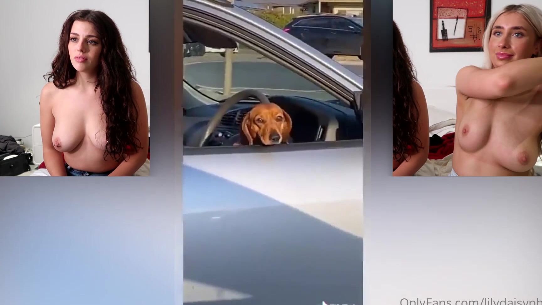 Lilydaisyphillips 2020 12 28 0Gm3Zmrjonmv3I5S9Mnbb Source