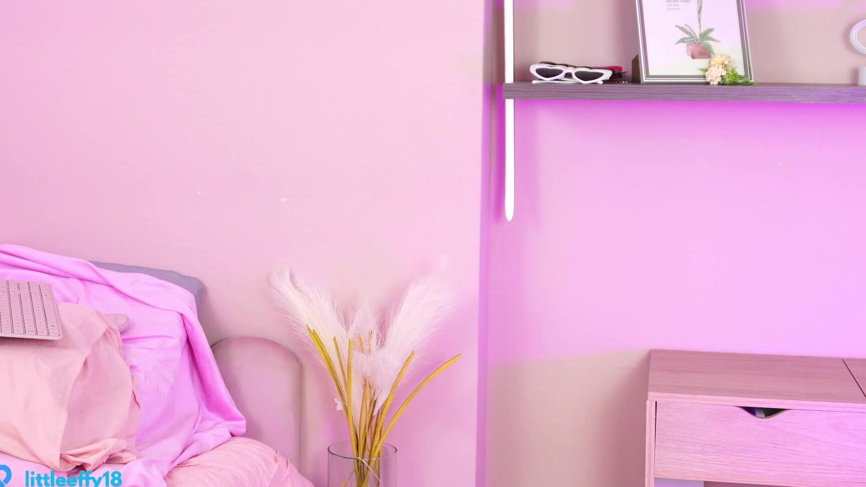 "little effy18" little_effy18__Chaturbate_20241118-234138_002 Web Cam