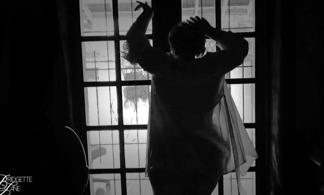 Bridgette Lane Sensual Silhouette Dancing