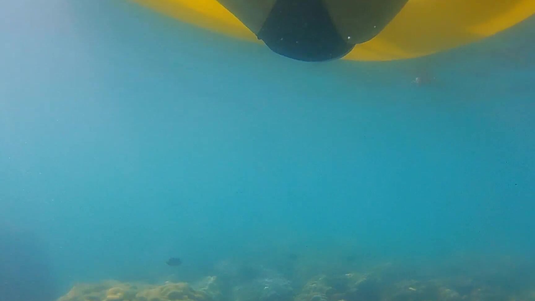 dream4angel enjoy butt plug in and out among fish n corals Pornhub