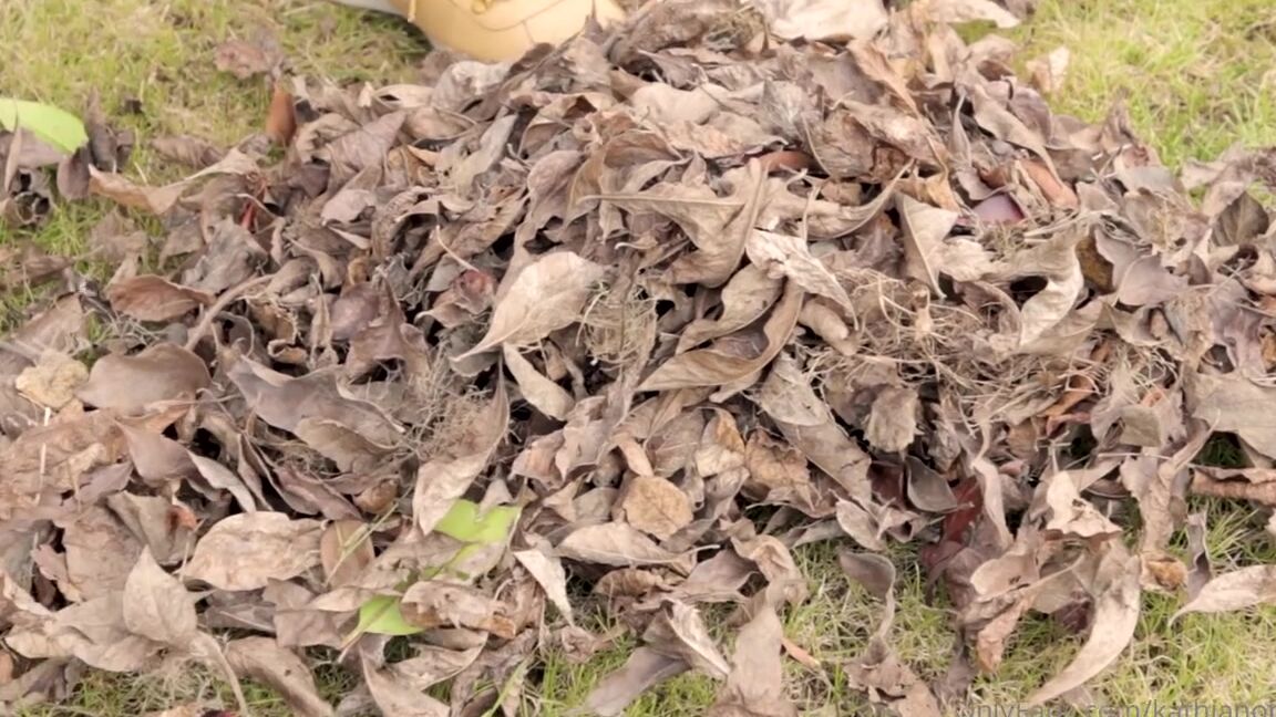 Kathianobilixx Findom 02 03 2022 Onlyfans Video Winter Romance