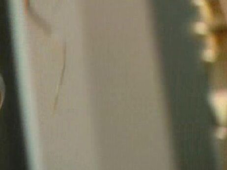 "Sandra Iron, Jessica May, Laura Angel, Mandy Bright, Michael Blu, Eva Cristaldi, David Perry, Alberto Rey, Franco Roccaforte, Sari Monella, Alex Mantegna, Julian St. Jox" Anal, All Sex, Oral Emotion Infamia Pure Play Media