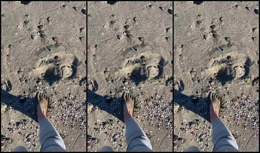 Emmysfeetandsocks Aka Emmyfeetandsocks Onlyfans Beachday And I Totally Got The Vibe Do You Like The Full Body Pics Day 5 With Them 35P