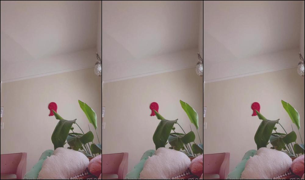 Jen Moon Bad Dragons Dildo Unboxing In Absolute Luv Tip Below If You Want To Se