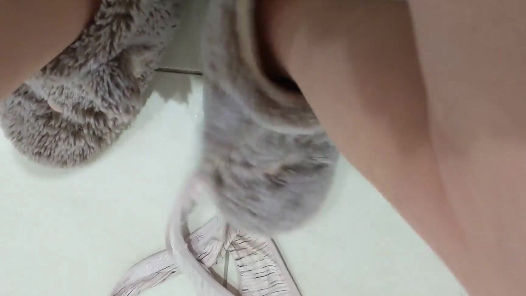 Desperation, Female Desperation, Pee, Toilet Fetish, Wet & Messy sofiasaintxxx sofia pee control toilet fetish ManyVids