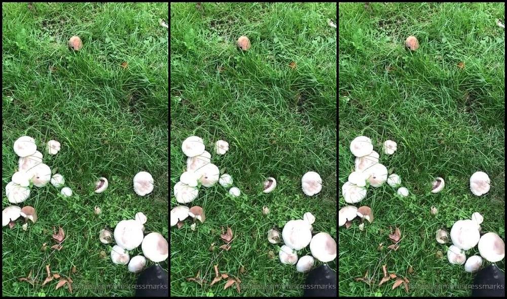 Miss Ruby Marks Mistress Inka Proving That You Can T Take Us Anywhere Squishing S