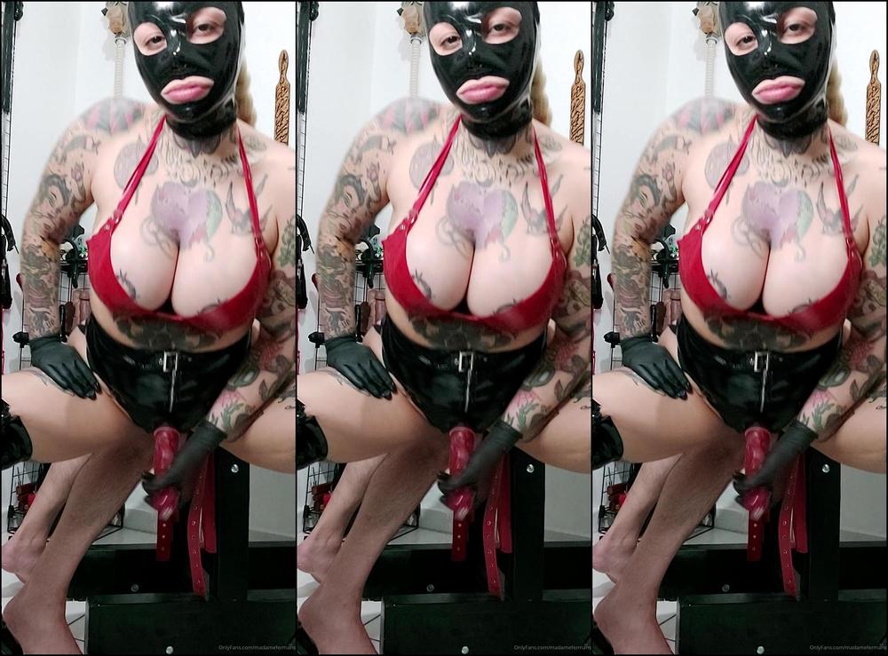 Madamefermans 2267243653 11 06 2021 Lubrificando E Exibindo Meu Strapon Antes De Foder O Escravinho